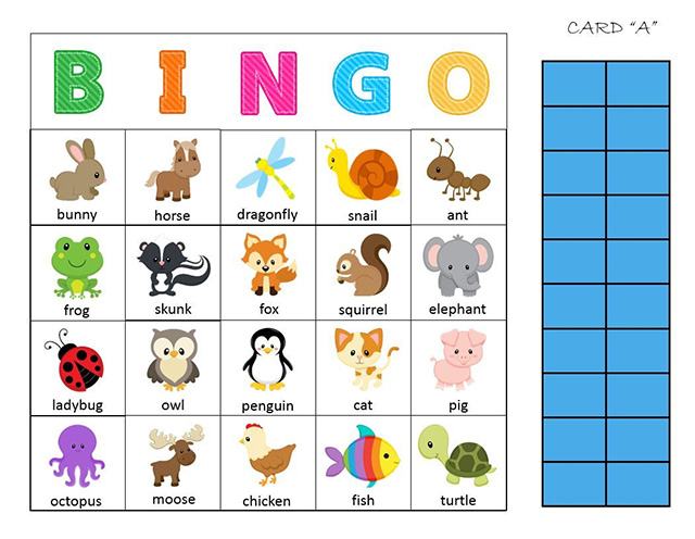 phân loại bingo